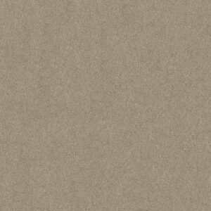 SOURCE II by Shaw Floors - Fossil