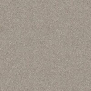ATTAINABLE by Shaw Floors - Desert Light