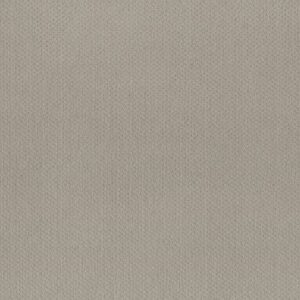 INFALLIBLE INSTINCT by Shaw Floors - Quiet Moment