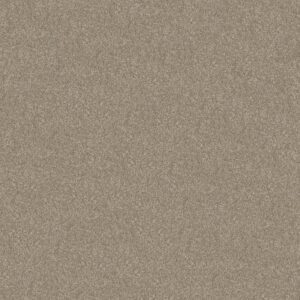 CABANA LIFE SOLID by Shaw Floors - Tree Bark