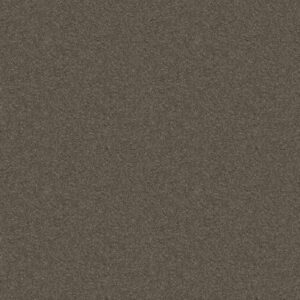 ATTAINABLE by Shaw Floors - Urban Loft