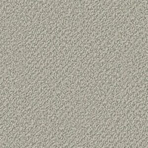 SMART THINKING by Shaw Floors - Slate