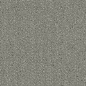 INFALLIBLE INSTINCT by Shaw Floors - Metal