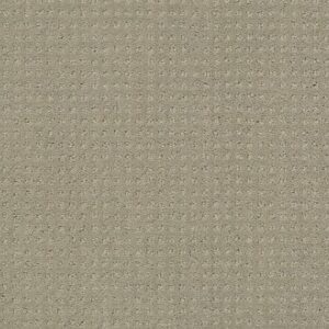 INSPIRED BY PATTERN by Shaw Floors - Ash