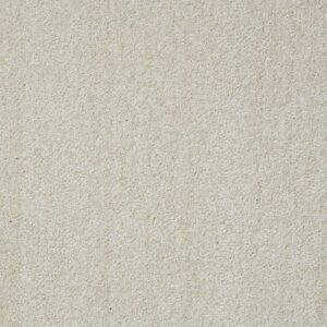 WHY NOT ME by Shaw Floors - Plaster