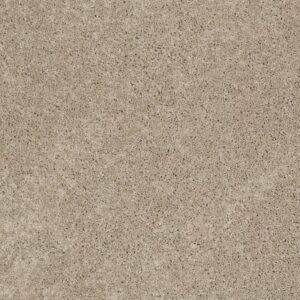 WHY NOT ME by Shaw Floors - Khaki Tan