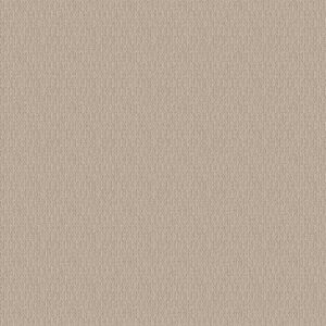LOOP DE LOOP by Shaw Floors - Natural Wood