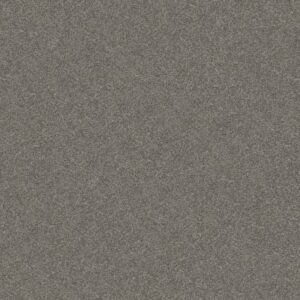 GO AFTER IT 4 by Shaw Floors - Dockside