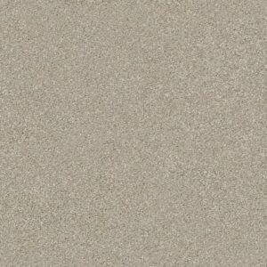 MONTAGE II by Shaw Floors - Shoreline Haze