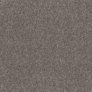 CALM SIMPLICITY I by Shaw Floors - Shoreline