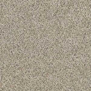 ALL SET I by Shaw Floors - River Rock