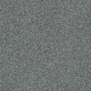 CABANA LIFE (T) by Shaw Floors - Mountain Path