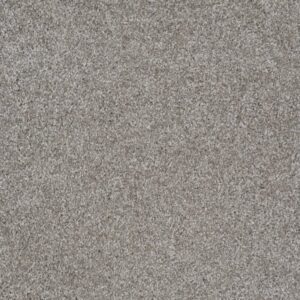 MAKE IT YOURS (S) by Shaw Floors - Pewter Solid