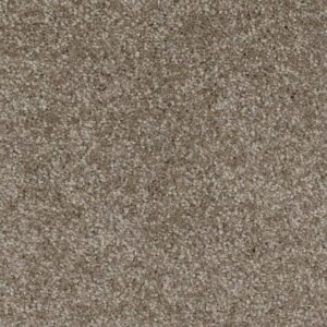 LAGUNA BEACH by Shaw Floors - Ashen