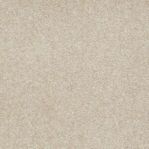 TIMELESS APPEAL II 15' by Shaw Floors - Country Haze