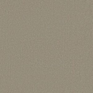 SANDY HOLLOW I 12' by Shaw Floors - London Fog