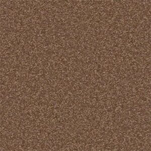 TIMELESS APPEAL I 15' by Shaw Floors - Pine Cone