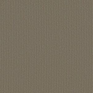 COMPLETE CONTROL by Shaw Floors - Abbey Stone