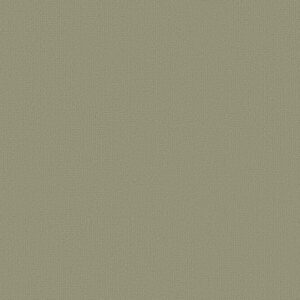 COLOR ACCENTS by Philadelphia Commercial - Fescue
