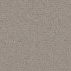 SOLSTICE by Shaw Floors - Ash Mist