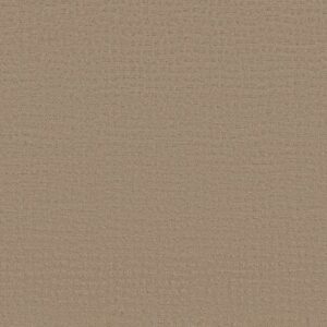 SOLSTICE by Shaw Floors - Beach Grass