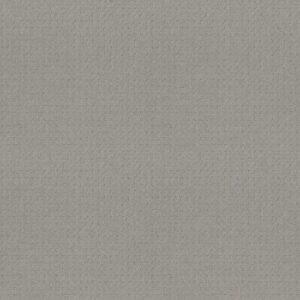 TOWN SQUARE by Shaw Floors - Silver Fox