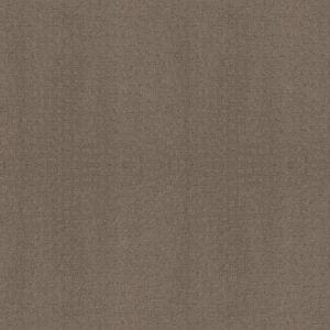 SOLSTICE by Shaw Floors - Smokestack