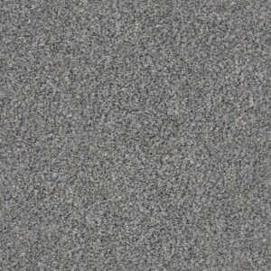 WITHIN REACH I by Shaw Floors - Shoreline