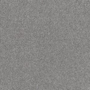 CALM SERENITY I by Shaw Floors - Silver Lining