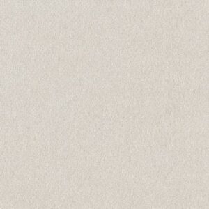 COZY HARBOR I by Shaw Floors - Snowfall