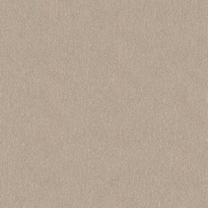 TRANQUIL WATERS by Shaw Floors - Fossil