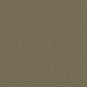 GRAND IMAGE III by Shaw Floors - Summerhouse