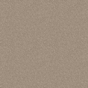 INFLUENCER by Shaw Floors - Sunkissed