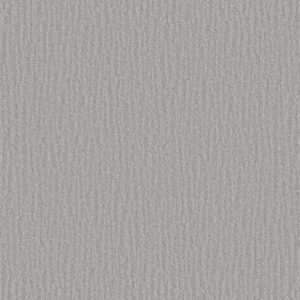 NATURE WITHIN by Shaw Floors - Silver Lining