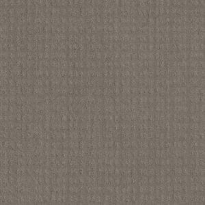 ESSENTIAL NOW by Shaw Floors - River Run
