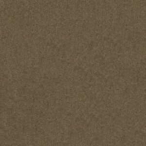 HARLEY STREET I by Shaw Floors - Vicuna