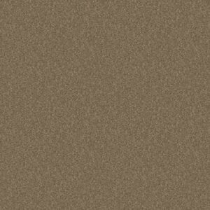 FIELDER'S CHOICE 12' by Shaw Floors - Hearth Stone