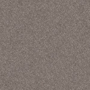 YES YOU CAN I 12' by Shaw Floors - Alaskan Air