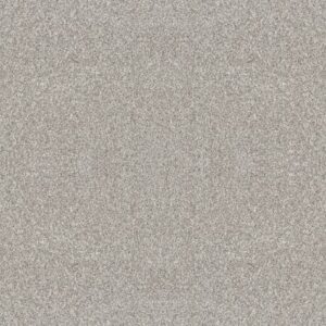 YES YOU CAN III 12' by Shaw Floors - Frozen