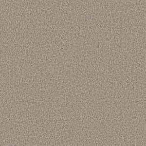 YES YOU CAN I 12' by Shaw Floors - Natural