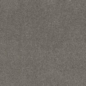 TRUSPIRIT II by Shaw Floors - Quarry