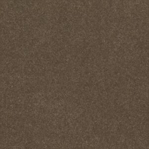 HARD AT PLAY I 15' by Shaw Floors - Mission Ridge