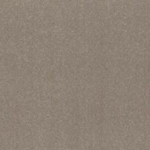 HARD AT PLAY I 15' by Shaw Floors - Chic Greige