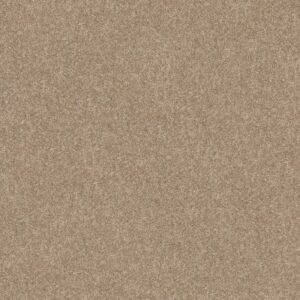 SMOOTH TALK I by Shaw Floors - Warm Wood