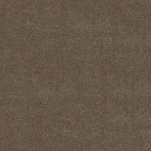 BOUNDLESS IV by Shaw Floors - Woodcraft