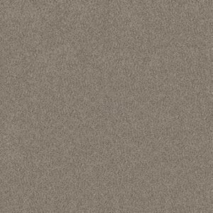 TRUSPLENDOR by Shaw Floors - Iron Works