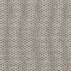 CATHEDRAL HILL II by Shaw Floors - Stylish Gray