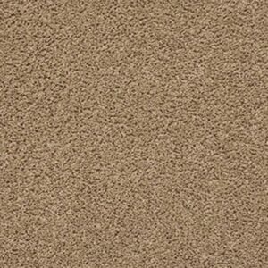 DEL MORRO by Shaw Floors - Crossroads
