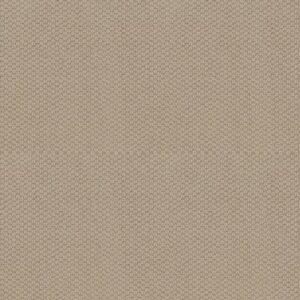 CATHEDRAL HILL II by Shaw Floors - Grecian Stone