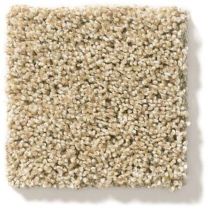 ACADIA PARK by Shaw Floors - Serengeti